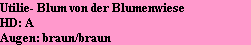 Utilie- Blum von der Blumenwiese
HD: A
Augen: braun/braun